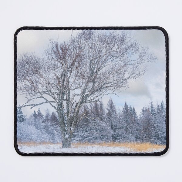 Item preview, Ancient Birch Tree designed and sold by onepony.