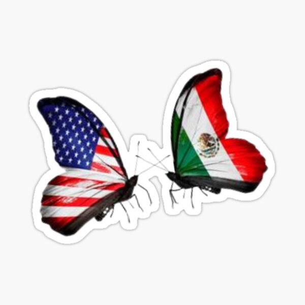 Italian Flag Butterfly Isolated On White Stock Photo  Download Image Now   Flag Horizontal Morpho Butterfly  iStock