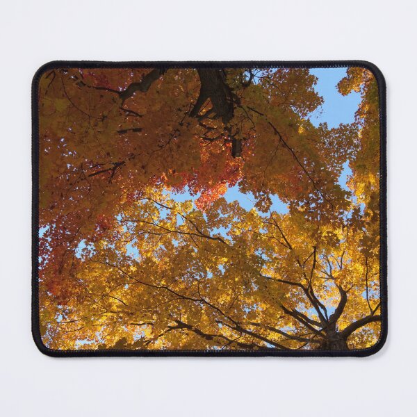 Item preview, Colourful Autumn Duet designed and sold by Georgia Mizuleva.