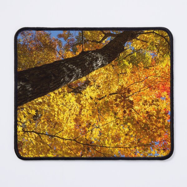 Item preview, Vivid Yellows, Reds and Oranges - the Joy of Autumn Foliage designed and sold by Georgia Mizuleva.