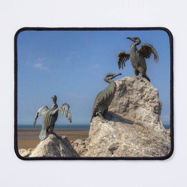 Item preview, Morecambe Cormorants designed and sold by tomg.