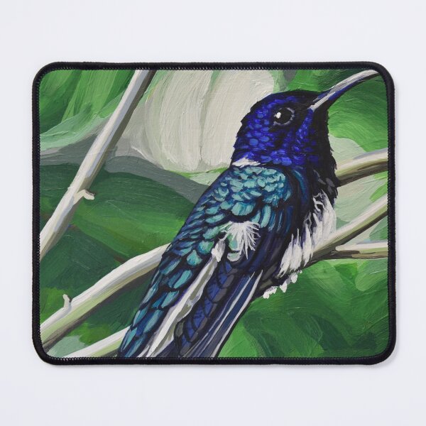 Item preview, White-necked Jacobin Hummingbird designed and sold by LauraWolfArtist.