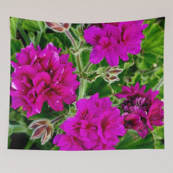 Item preview, PURPLE GERANIUM designed and sold by Steffi August.