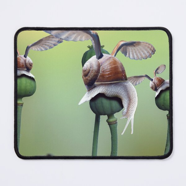 Item preview, Poppy Snail designed and sold by Piotr Dulski.