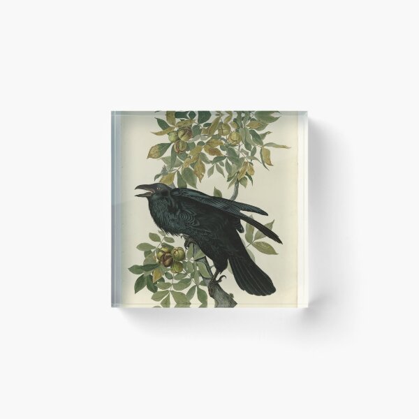 Item preview, 101 Raven designed and sold by Bird-Lore.