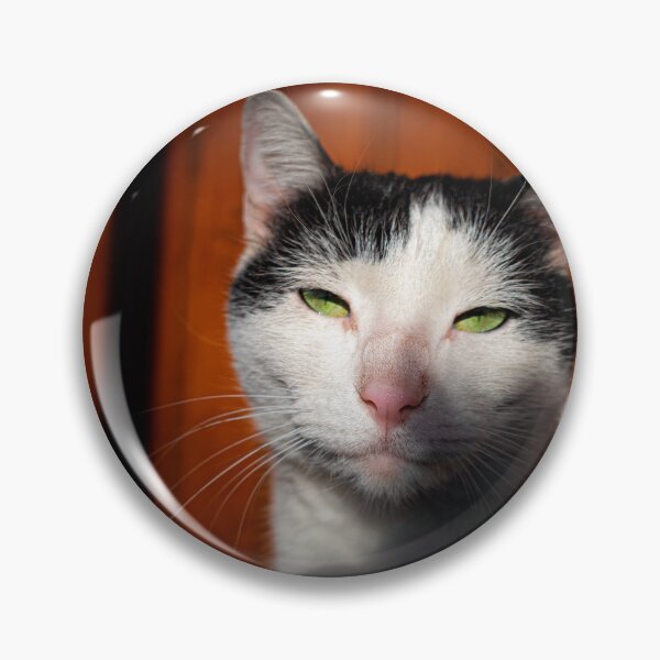 Item preview, kitten white eyes green designed and sold by Norbert Horacsek.