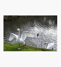 With A Hop Skip And Jump Photographic Print