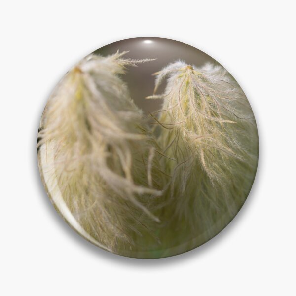 Item preview, Western Pasqueflower AKA Dr. Seuss flower designed and sold by Rafaelagentry.