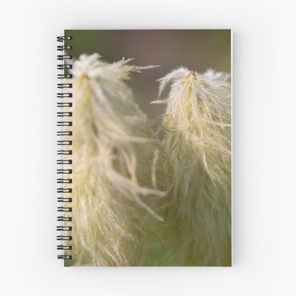 Item preview, Western Pasqueflower AKA Dr. Seuss flower designed and sold by Rafaelagentry.