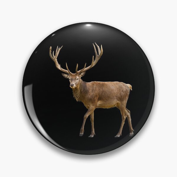 Item preview, Copie de Proud moose from Canada about to celebrate Christmas  designed and sold by Photorebelle.