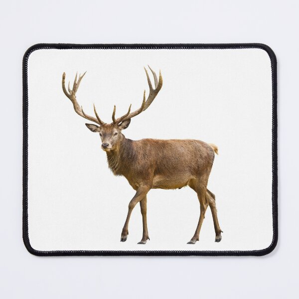 Item preview, Copie de Proud moose from Canada about to celebrate Christmas designed and sold by Photorebelle.