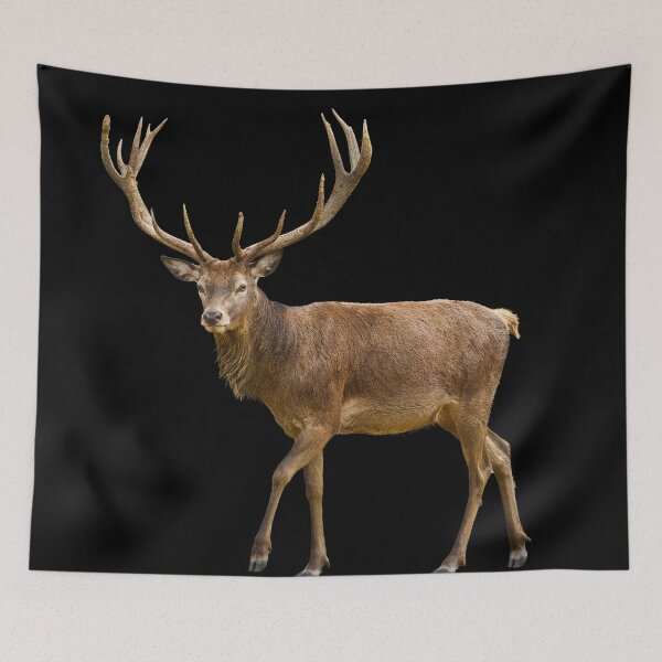 Item preview, Copie de Proud moose from Canada about to celebrate Christmas  designed and sold by Photorebelle.