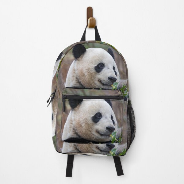 Item preview, Giant Panda Bao Bao at the National Zoo designed and sold by Zoo and Nature Photography by Karie.