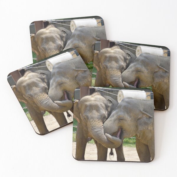 Item preview, Asian Elephants at the National Zoo designed and sold by Zoo and Nature Photography by Karie.