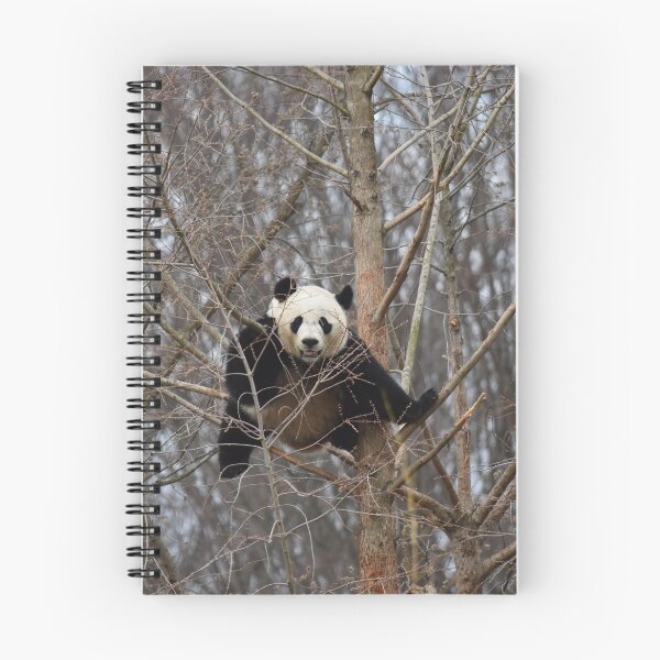 Item preview, Giant Panda Bei Bei at the National Zoo designed and sold by Zoo and Nature Photography by Karie.