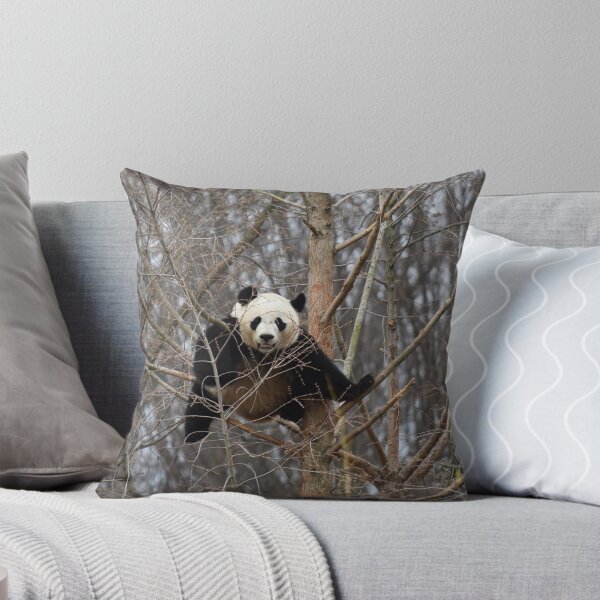 Item preview, Giant Panda Bei Bei at the National Zoo designed and sold by Zoo and Nature Photography by Karie.