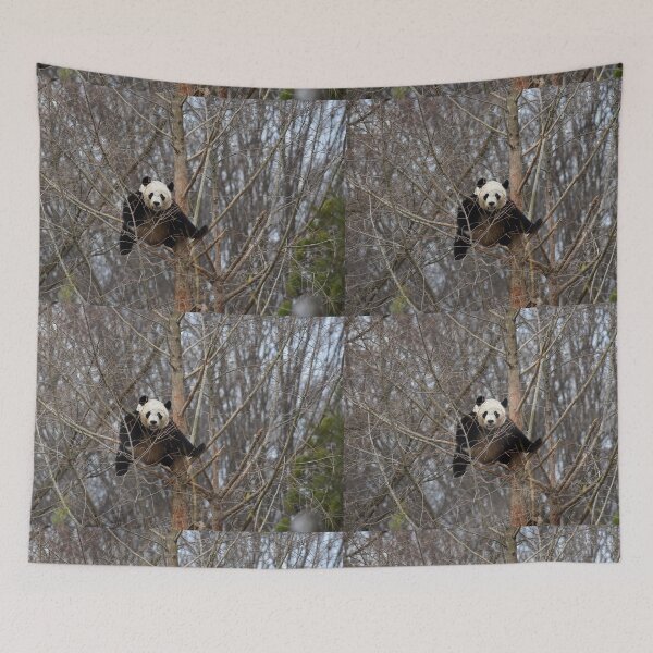 Item preview, Giant Panda Bei Bei at the National Zoo designed and sold by Zoo and Nature Photography by Karie.
