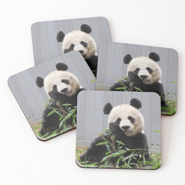 Item preview, Giant Panda Mei Xiang at the National Zoo designed and sold by Zoo and Nature Photography by Karie.