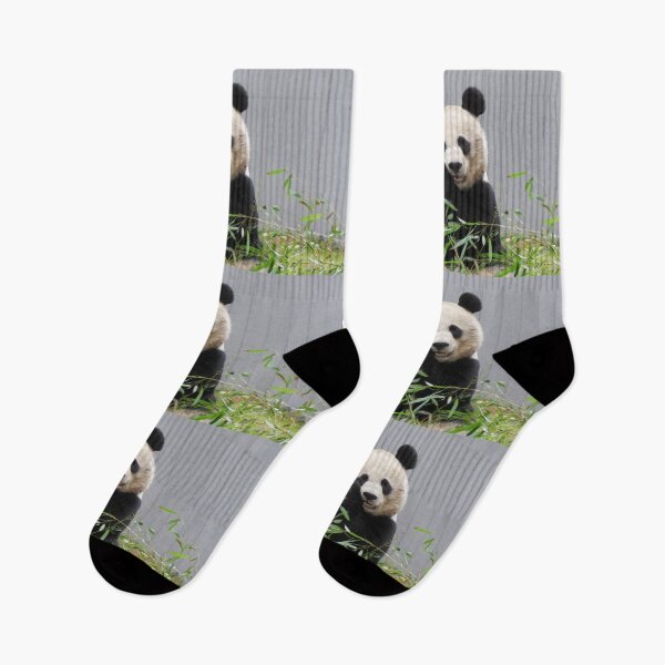 Item preview, Giant Panda Mei Xiang at the National Zoo designed and sold by Zoo and Nature Photography by Karie.