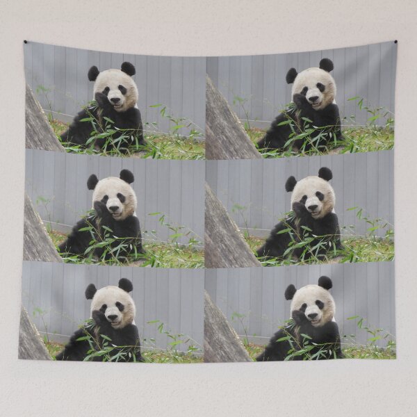 Item preview, Giant Panda Mei Xiang at the National Zoo designed and sold by Zoo and Nature Photography by Karie.