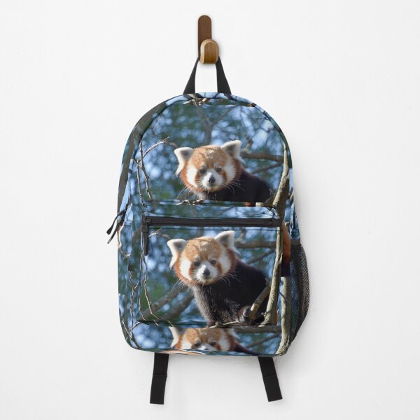 Item preview, Red Panda at the National Zoo designed and sold by Zoo and Nature Photography by Karie.
