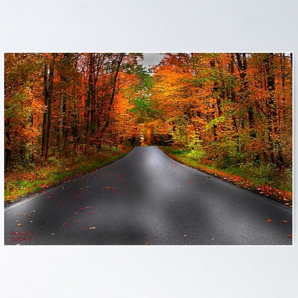 Item preview, "A Long Road Home" designed and sold by canonman99.