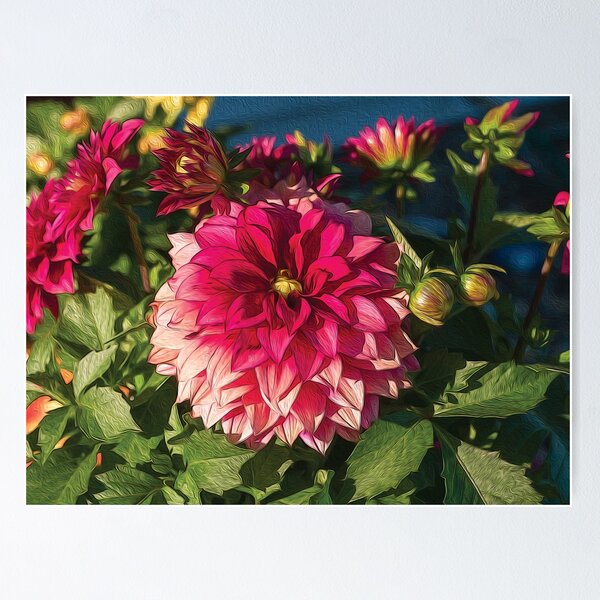 Item preview, Beautiful dahlia flower in bloom - designed and sold by FelCastro.