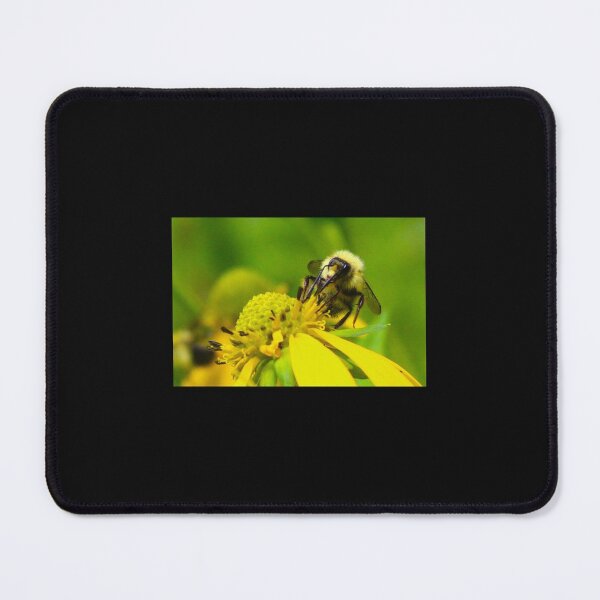 Item preview, Hungry Bee designed and sold by Sierra Wright.