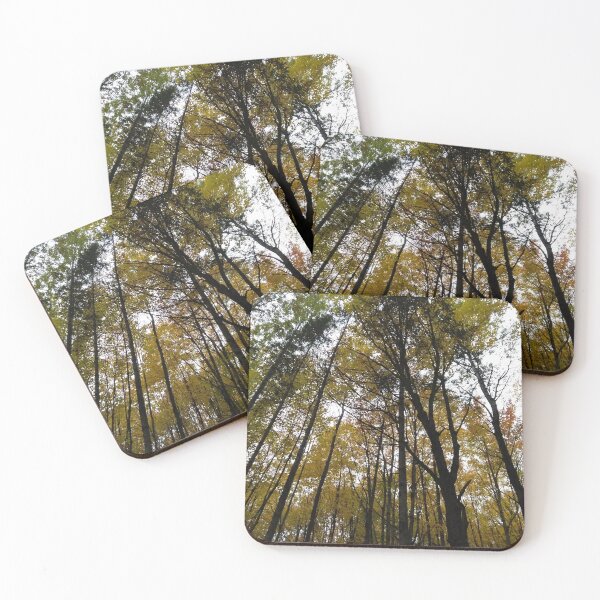 Item preview,  In the forest in autumn designed and sold by Momentary.