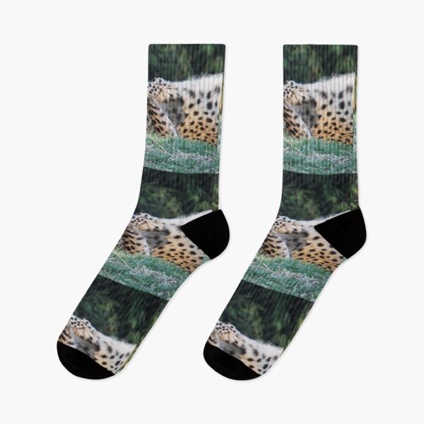 Item preview, Cheetah at the National Zoo designed and sold by Zoo and Nature Photography by Karie.