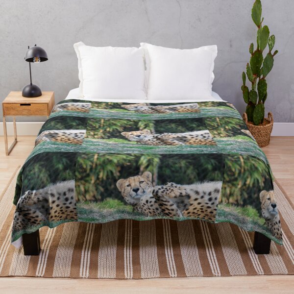 Item preview, Cheetah at the National Zoo designed and sold by Zoo and Nature Photography by Karie.