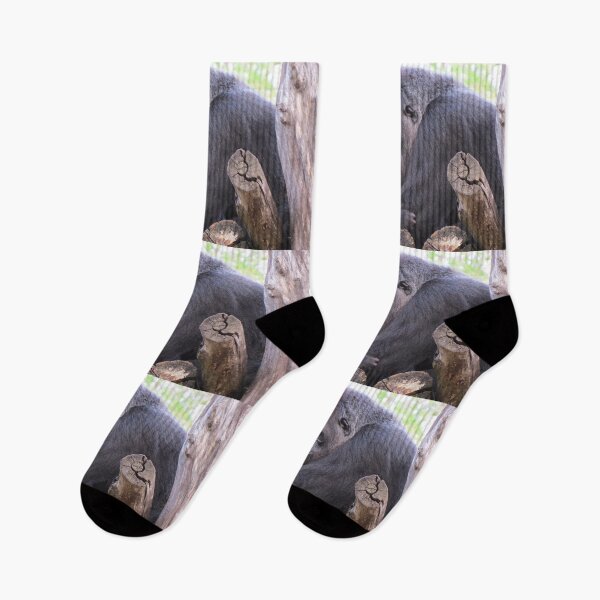 Item preview, Gorillas Calaya and baby Moke at the National Zoo designed and sold by Zoo and Nature Photography by Karie.