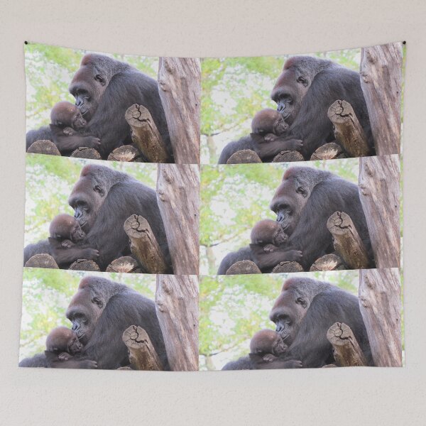 Item preview, Gorillas Calaya and baby Moke at the National Zoo designed and sold by Zoo and Nature Photography by Karie.