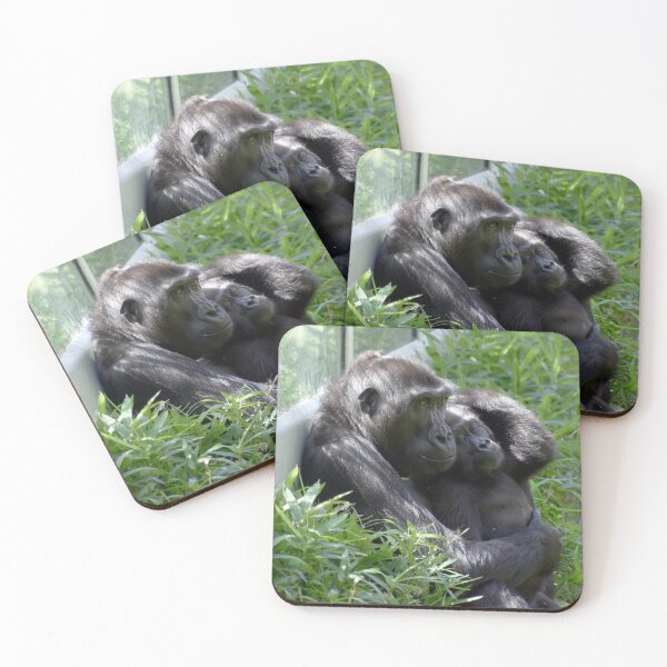 Item preview, Gorillas Kibibi and Moke at the National Zoo designed and sold by Zoo and Nature Photography by Karie.