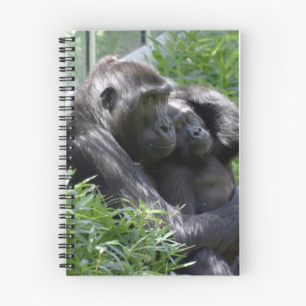 Item preview, Gorillas Kibibi and Moke at the National Zoo designed and sold by Zoo and Nature Photography by Karie.
