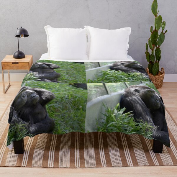 Item preview, Gorillas Kibibi and Moke at the National Zoo designed and sold by Zoo and Nature Photography by Karie.