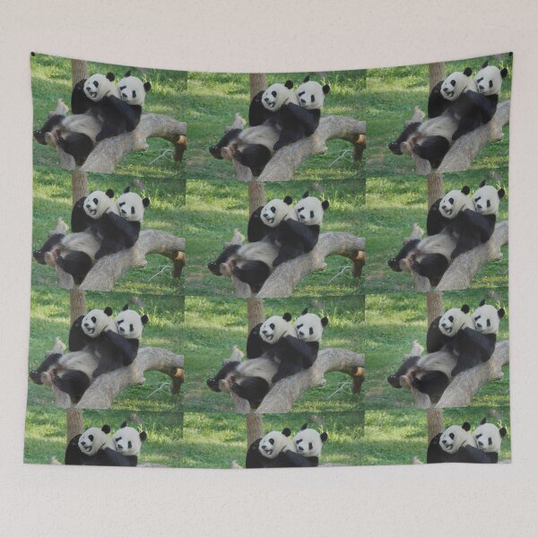 Item preview, Giant Pandas Tian Tian and Mei Xiang at the National Zoo designed and sold by Zoo and Nature Photography by Karie.
