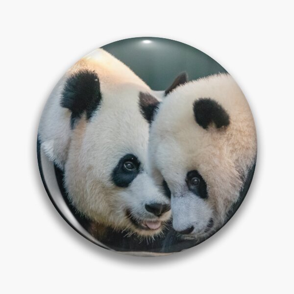 Item preview, Mei Xiang and Xiao Qi Ji at the Smithsonian's National Zoo designed and sold by Zoo and Nature Photography by Karie.