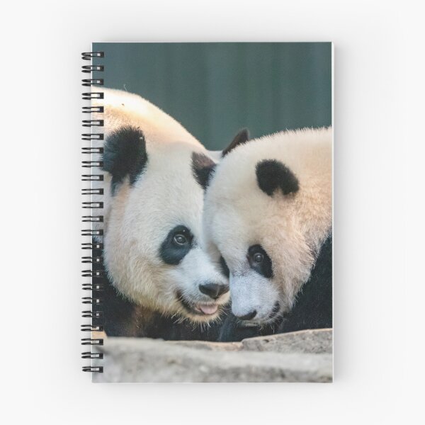 Item preview, Mei Xiang and Xiao Qi Ji at the Smithsonian's National Zoo designed and sold by Zoo and Nature Photography by Karie.