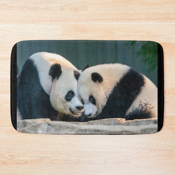 Item preview, Mei Xiang and Xiao Qi Ji at the Smithsonian's National Zoo designed and sold by Zoo and Nature Photography by Karie.