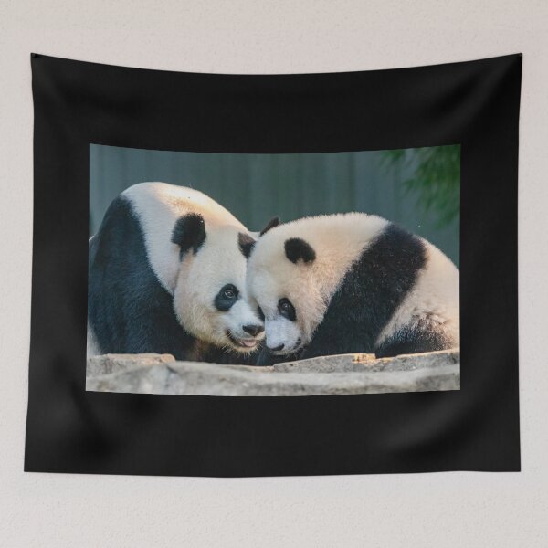 Item preview, Mei Xiang and Xiao Qi Ji at the Smithsonian's National Zoo designed and sold by Zoo and Nature Photography by Karie.