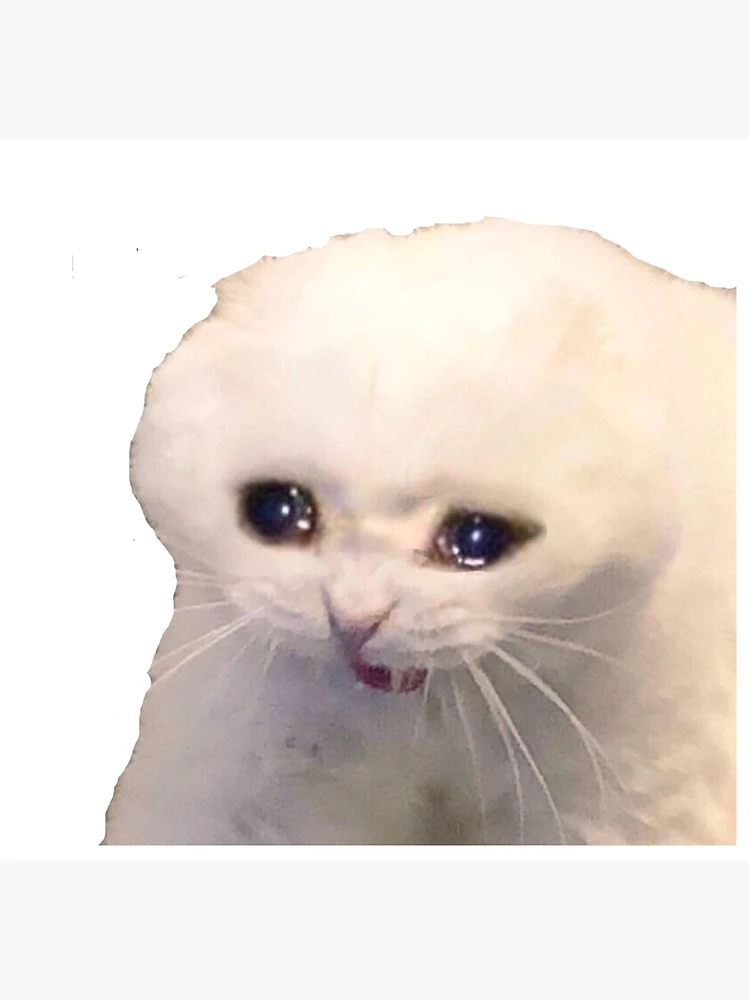 Image: Sad Meme Face Png, png collections at sccpre.cat, meme faces png 