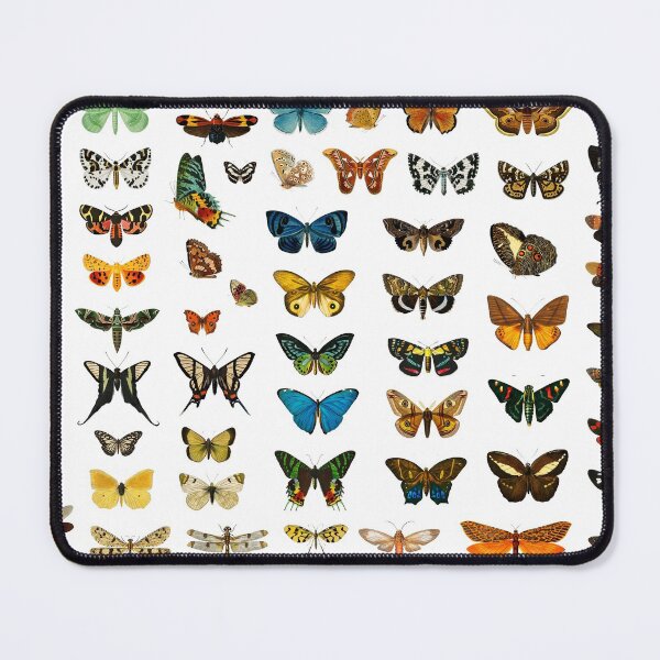Item preview, Vintage butterflies and moths, remix from artworks by Charles Dessalines D'orbigny designed and sold by dusie.