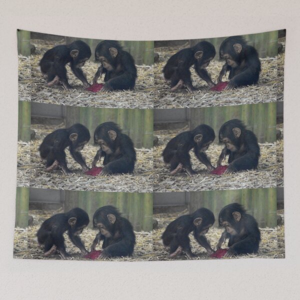 Item preview, Baby Chimpanzees Violet and Lola at the Maryland Zoo designed and sold by Zoo and Nature Photography by Karie.