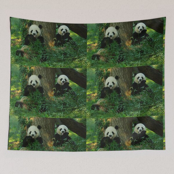 Item preview, Giant Pandas Tian Tian and Mei Xiang at the National Zoo designed and sold by Zoo and Nature Photography by Karie.