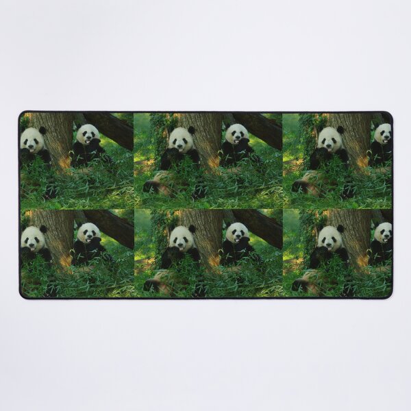Item preview, Giant Pandas Tian Tian and Mei Xiang at the National Zoo designed and sold by Zoo and Nature Photography by Karie.