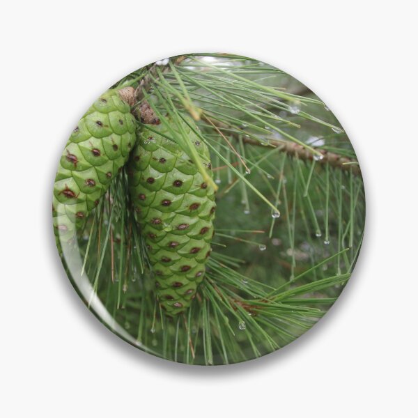 Item preview, Green Pine Cones designed and sold by Honey Myrtle Studio.
