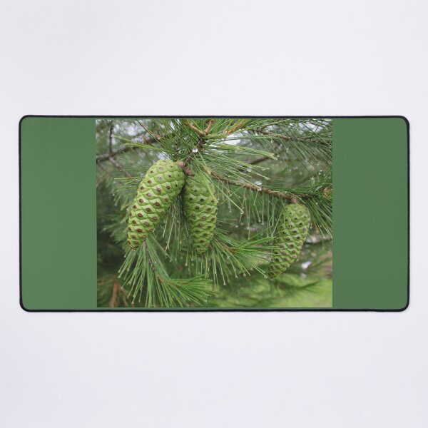 Item preview, Green Pine Cones designed and sold by Honey Myrtle Studio.