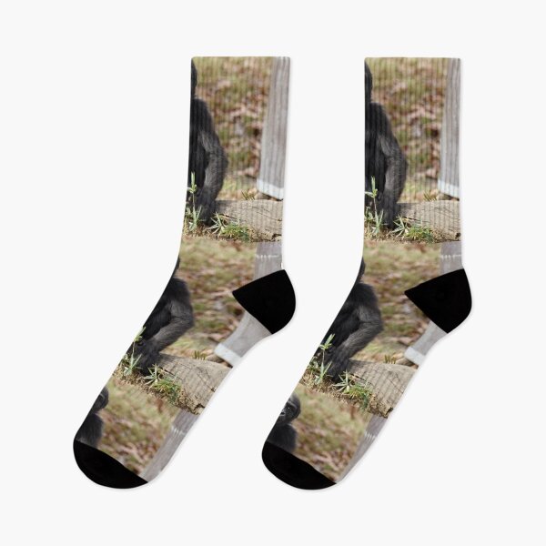 Item preview, Moke the Gorilla at the National Zoo designed and sold by Zoo and Nature Photography by Karie.