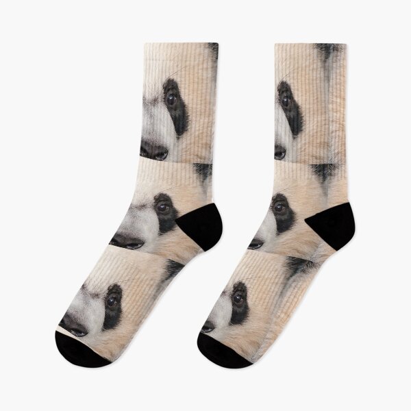 Item preview, Giant Panda Bei Bei at the National Zoo designed and sold by Zoo and Nature Photography by Karie.